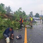 พะเยา พายุฝนถล่มต้นไม้หักโค่นทับถนนรถติดยาวกว่ากิโล