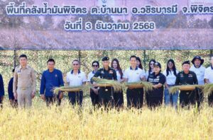 ผบ.บชร. 3 ลงแขกเกี่ยวข้าวหอมมะลิ เมล็ดพันธุ์พระราชทาน