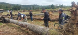 พิษณุโลก ยึดไม้เถื่อน 43 ท่อน ไม้ธรรมชาติอยู่ในแปลงที่ดินโครง คทช. ในเขตป่าสงวนแห่งชาติ-ป่าสวนเมี่ยง :อนุญาตให้ราษฎรทำกิน