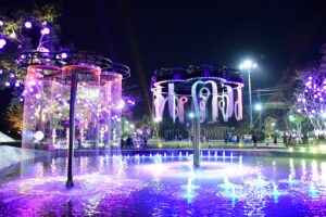 เชียงราย เปิดแล้วเชียงรายดอกไม้งาม  สุดสวยงามอุทยานดอกไม้รับนักท่องเที่ยว