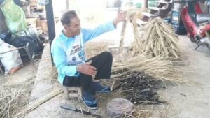 พะเยา “ครั่ง”พืชเงินแสนมาแรง! เกษตรกรโกยรายได้ราคาพุ่งกิโลฯละ 205 บาท เหนือ–อีสานครองแชมป์เลี้ยงมากสุด