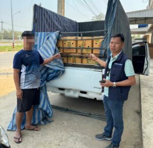 แม่สาย พ่อค้า แม่ค้า รายย่อยเดือดร้อนแฉ อะโวคาโด เข้าผ่านด่านสะพานพรมแดนแห่งที่