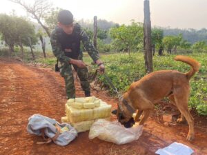 กองกำลังผาเมือง ปะทะกลุ่มขบวนการลักลอบลำเลียงยาเสพติด ยึดยาบ้า 5,700,000 เม็ด อำเภอเชียงดาว