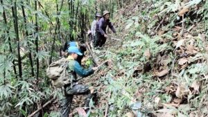 มทบ. 37 พร้อมกำลังพลจิตอาสาพระราชทาน ทำแนวกันไฟเพื่อป้องกันไฟป่า  เส้นทางก่อนเข้า โครงการบ้านเล็กในป่าใหญ่